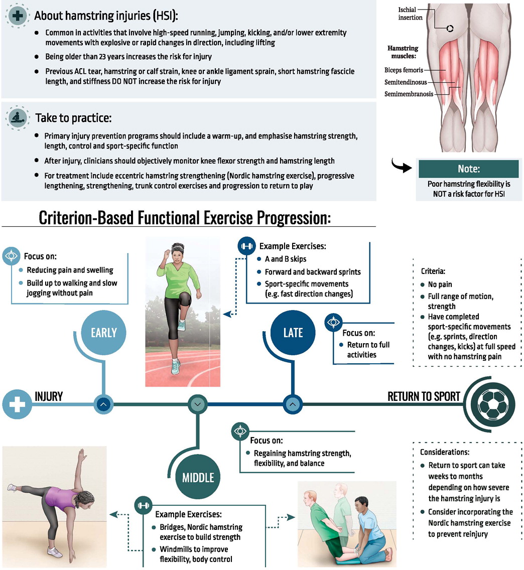 NEW #Infographic in this month's @jospt

Based upon our recently released #ClinicalPracticeGuideline for managing #Hamstring injuries in athletes

Like, Share  AND then go Read the guidelines in full 👉 ow.ly/364q50JABl4

#yourJOSPT