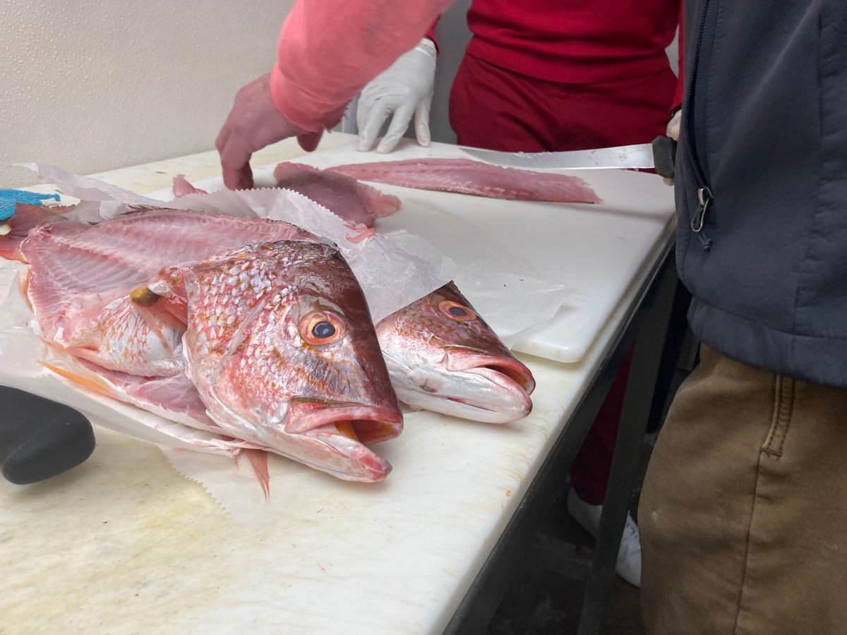 It's o-fish-all! On this week's episode of Table for All, Buki explores both Peruvian and Afghan cultures and cuisines!

Be sure to watch this Wednesday, June 22, at 8 p.m. on
<a href="/MyNJPBS/">NJ PBS</a>!