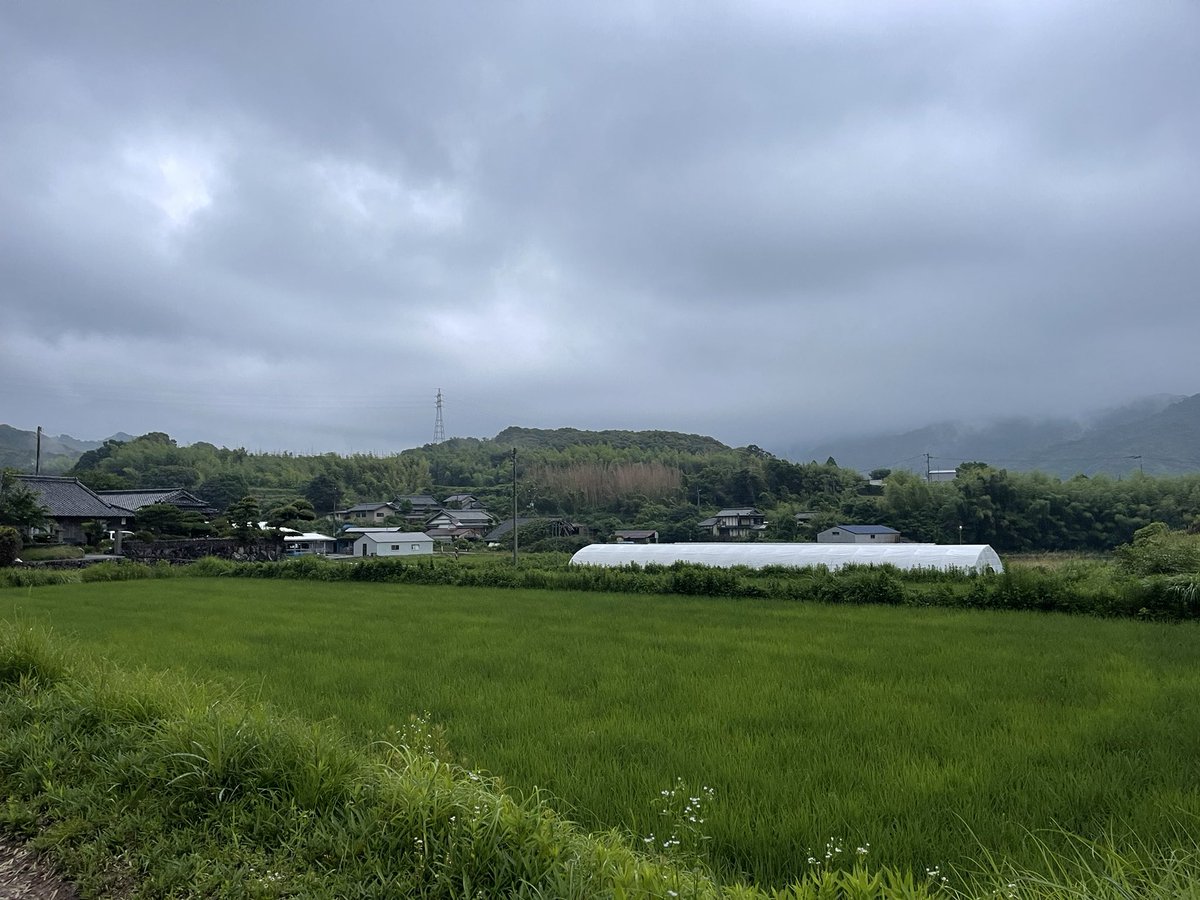 雨天で出来ること

自分と向き合ういいタイミング
低気圧により心身へ様々な影響がある

頭痛や神経痛が出たり
気分は下がりやすい環境

人は環境に依存する
今の自分が確かな歩みを続けるため
自らを整えることが基本

おはようございます！
〜今日もよい一日を〜☺️