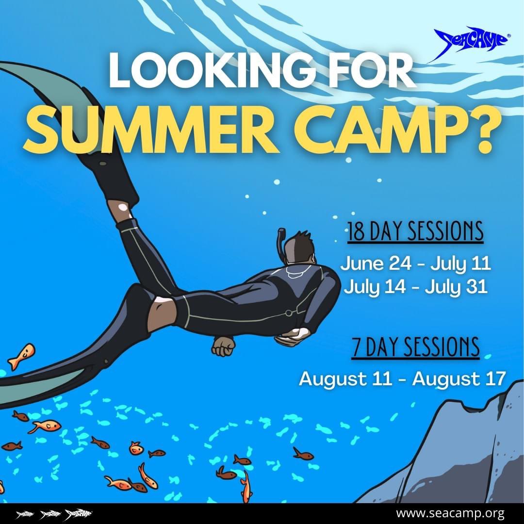 Still looking for a summer camp? We still have space in Sessions 1 , 2 and 4. Visit this link and request more information. Link: seacamp.org/contact.htm #summercamp #summer #camp #marinescience #seacamp #florida #bigpinekey #keywest