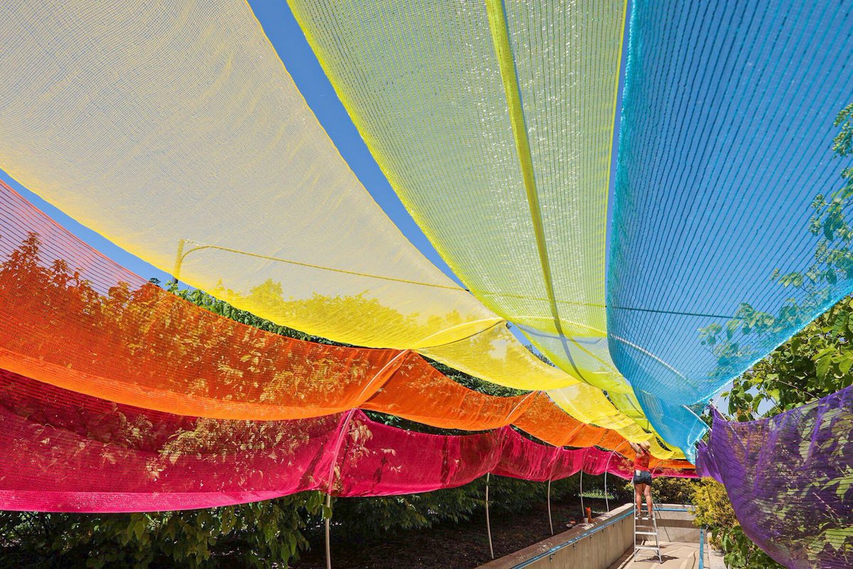 middlewaves tweet media