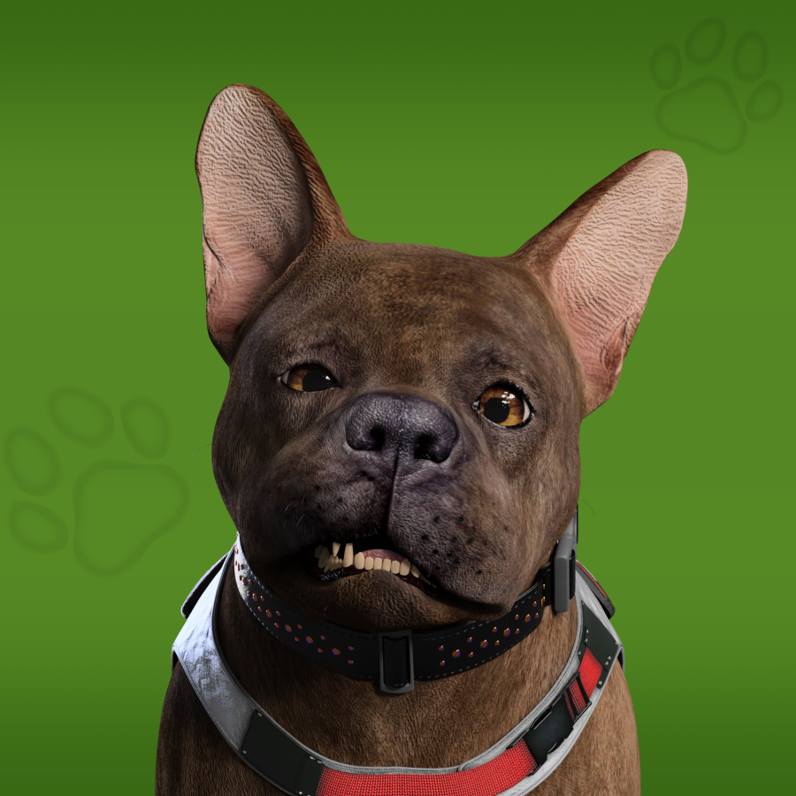 NFungiblePeople's tweet photo. Have you gotten your #NFPETS any toys? πΎπ€©
Mint β‘οΈ https://t.co/LdSaHiUF8o https://t.co/7zWionccOh