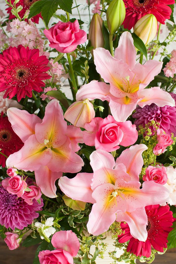 ZEYNEB MELİSSA (@zeynazerda) on Twitter photo 