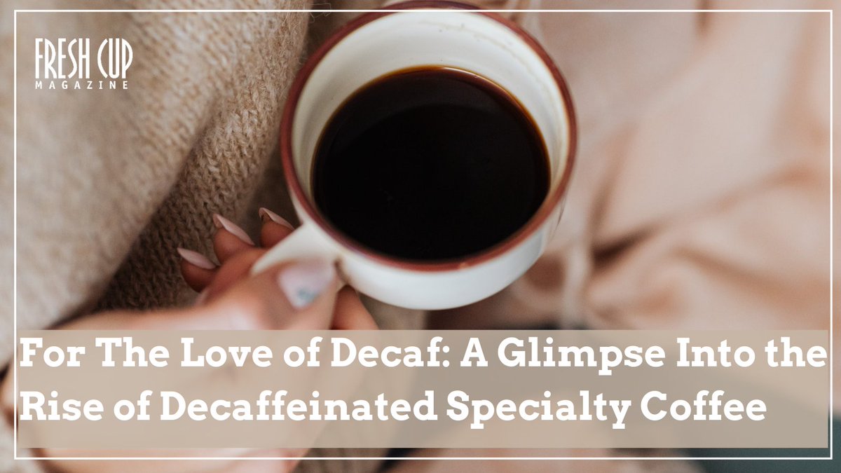 FreshCupMag's tweet photo. Who said specialty decaf?

Read @Anne_E_Mercer’s article and learn why decaf coffee and low-caffeine varieties are a worthy investment for cafés and roasteries.

🔗 https://t.co/0p6LFa5Uot

📸: @kaboompics
 
#coffeelovers #specialtycoffee #baristas #coffee  #decafcoffee https://t.co/sKuMdGxt0q