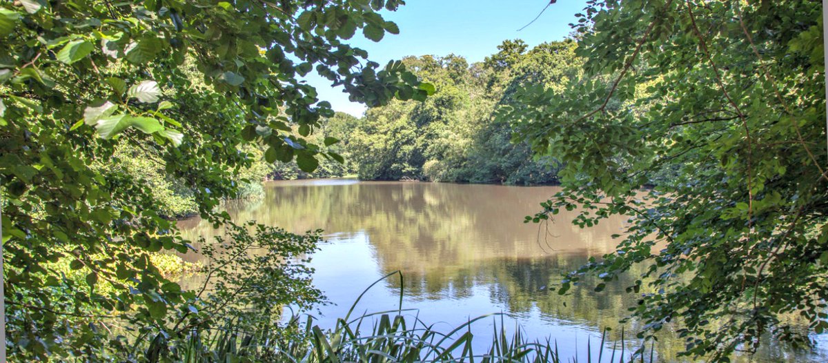 eyesurgery1's tweet image. Here are some great ideas for things to do with your Dad for Father's Day from the National Trust:  #FathersDay #thingstodooutside #eastsussex ow.ly/FO6y30slNtt