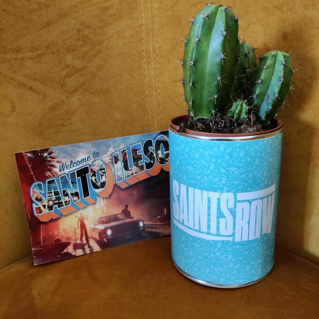 aquab0n's tweet photo. L'arrivage du jour m'a bien fait rire ! Un #buzzkit pour célébrer la sortie du prochain #SaintsRow sur différentes plateformes le 23 août prochain. Une carte postale et un très joli cactus !
Vous pouvez dès à présent télécharger le #BossFactory afin de … https://t.co/lfvUlvBFwH https://t.co/7Rj0XY75s0