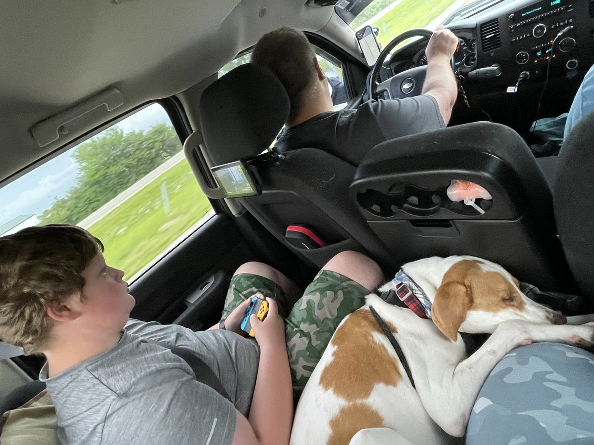 Brandi_Rainer's tweet photo. @WLWT Puppy’s first vacation! https://t.co/XvMDJF5QQm