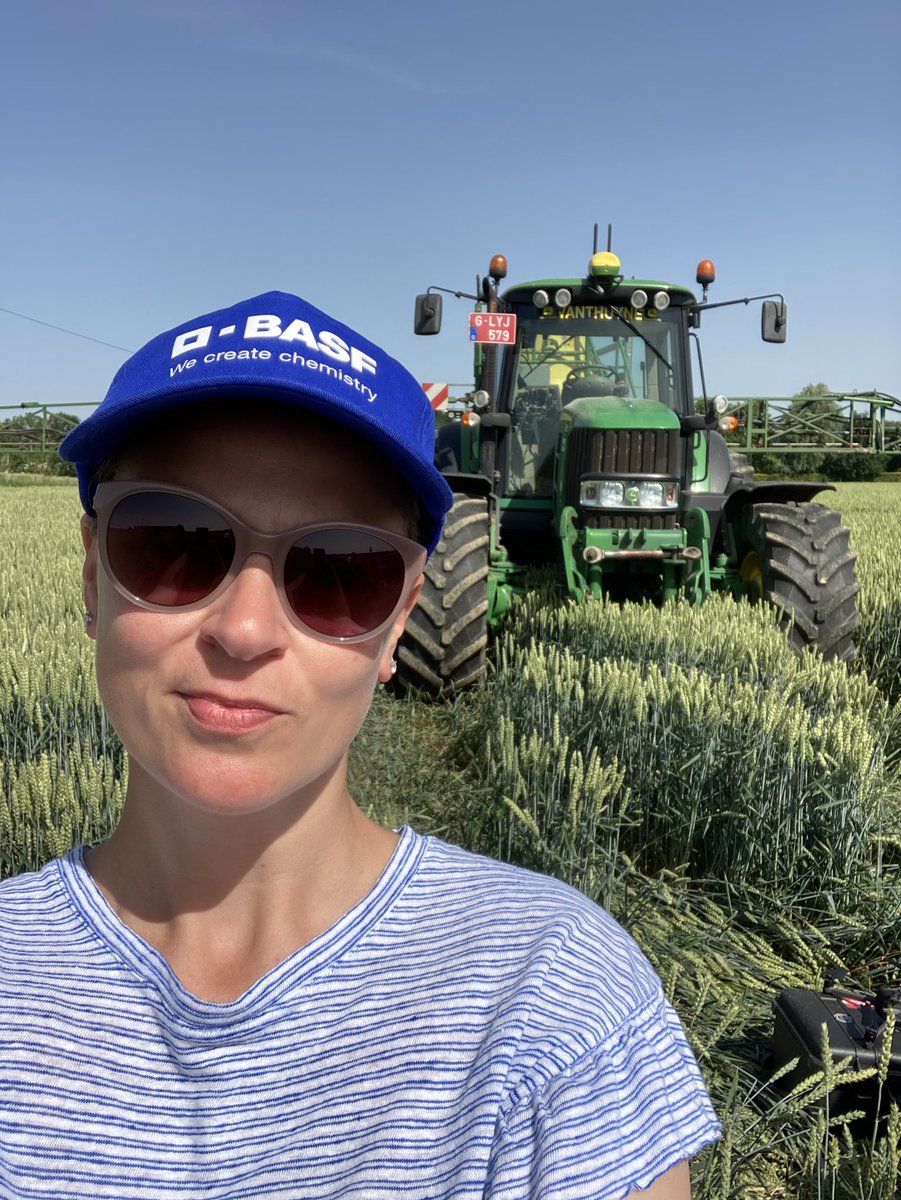 katrien_dv's tweet photo. I was lucky today to be out there on the field, literally. Shooting a promo video for #InnovationCenterGent @basfagro at a wheat field in East Flanders to show how our innovations contribute to a sustainable agriculture and help farmers worldwide #lovemyjob https://t.co/AmacZ7jawa