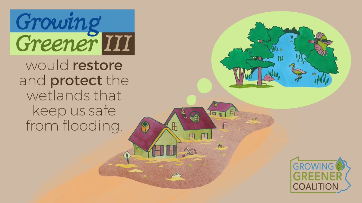 PaGrowGreener's tweet photo. #DYK? An acre of wetland can store 1 - 1.5 million gallons of floodwater. 💦

Advocate for a #GrowingGreenerIII to help protect and restore these crucial ecosystems! ➡️ https://t.co/nyzFsOVQgn https://t.co/YeGw3VHukd