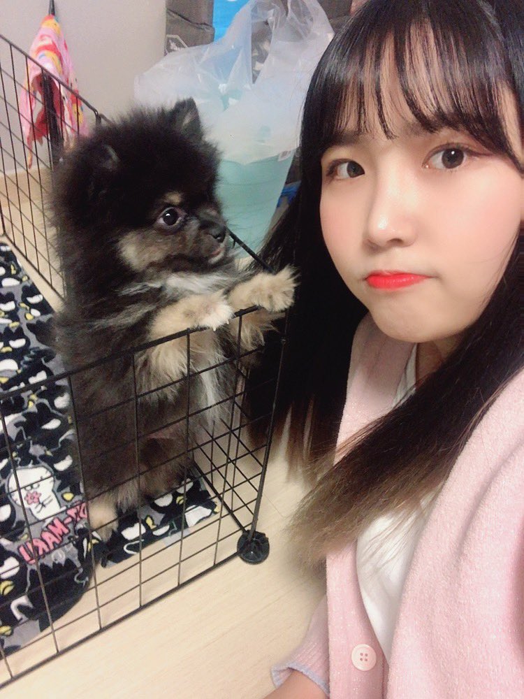 PF_Official_X's tweet image. [#핑크판타지_하린]

⬇️처음만난짜장이        ⬇️최근에만난짜장이

작아도 커도 귀여워
이제 사진폭탄 빠빠이 ㅎ

#하린 #HARIN #ハリン 
#핑크판타지 #PINKFANTASY 
#ピンクファンタジー