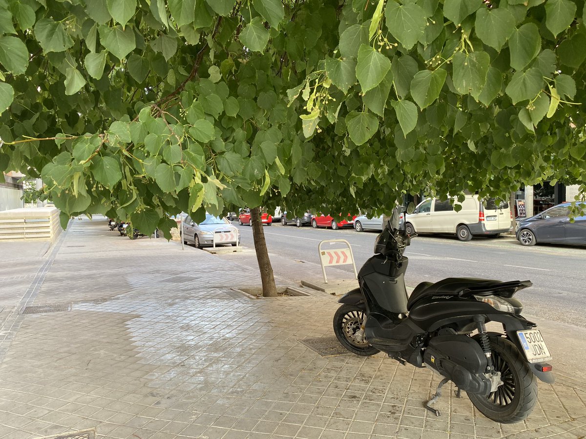 shapedd's tweet photo. Hola @MADRID @012CMadrid se podían podar los árboles de la calle Ariel?, apenas se puede cruzar por la acera. 
Gracias https://t.co/XBbwZEvfDA