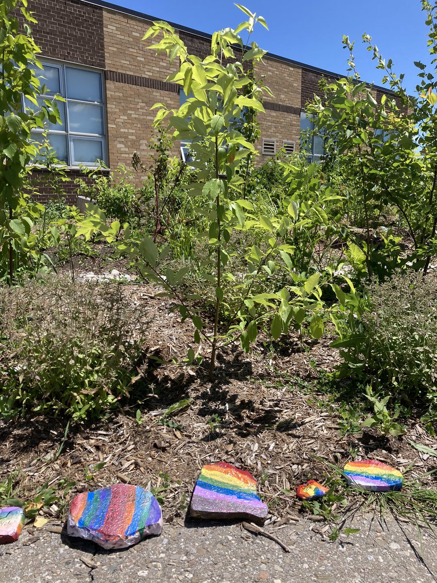 Heather Little (@little_hs13) on Twitter photo Thanks for adding the Pride rocks to our Rain Garden. What an inclusive touch! <a href="/BelfountainPS/">BelfountainPS</a> <a href="/CVC_CA/">Credit Valley Conservation</a> <a href="/PeelSchools/">Peel District School Board</a> Thanks for adding the Pride rocks to our Rain Garden. What an inclusive touch! <a href="/BelfountainPS/">BelfountainPS</a> <a href="/CVC_CA/">Credit Valley Conservation</a> <a href="/PeelSchools/">Peel District School Board</a>