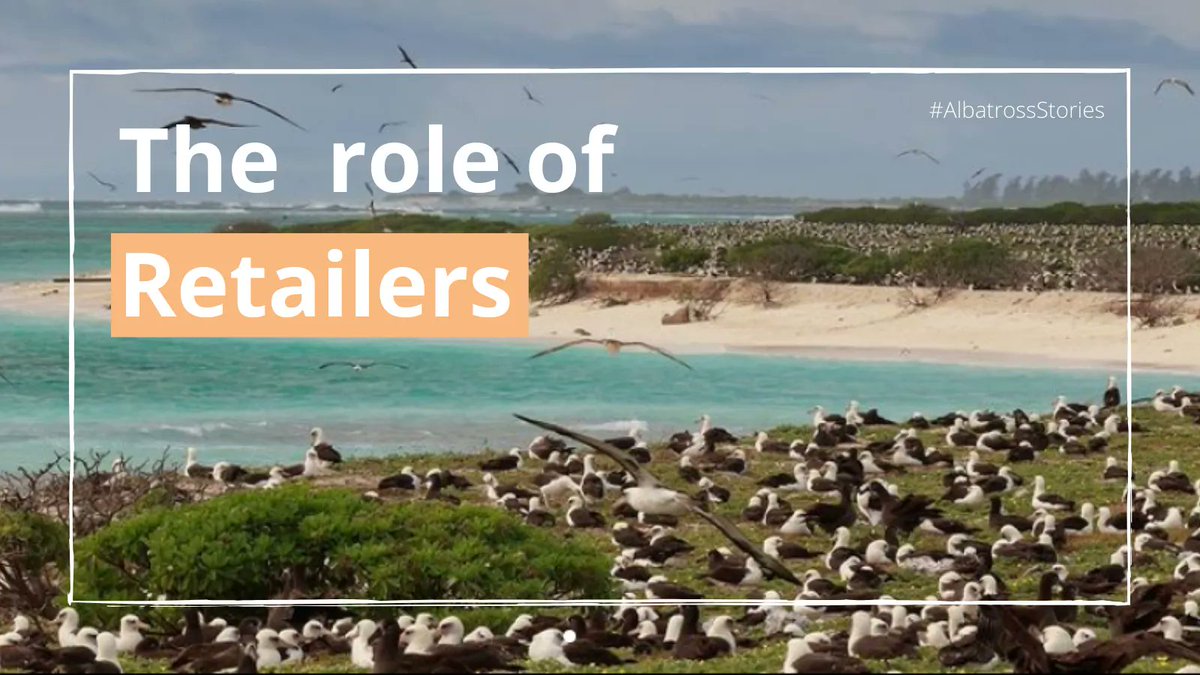 AlbyTaskForce's tweet photo. Retailers have a key role in achieving globally sustainable fisheries. To support these efforts, we have partnered with @SustainableFish and @whalesorg to improve fisheries for #seabirds. 
https://t.co/UXfFfBVFJ5 https://t.co/40LpGTxgnl