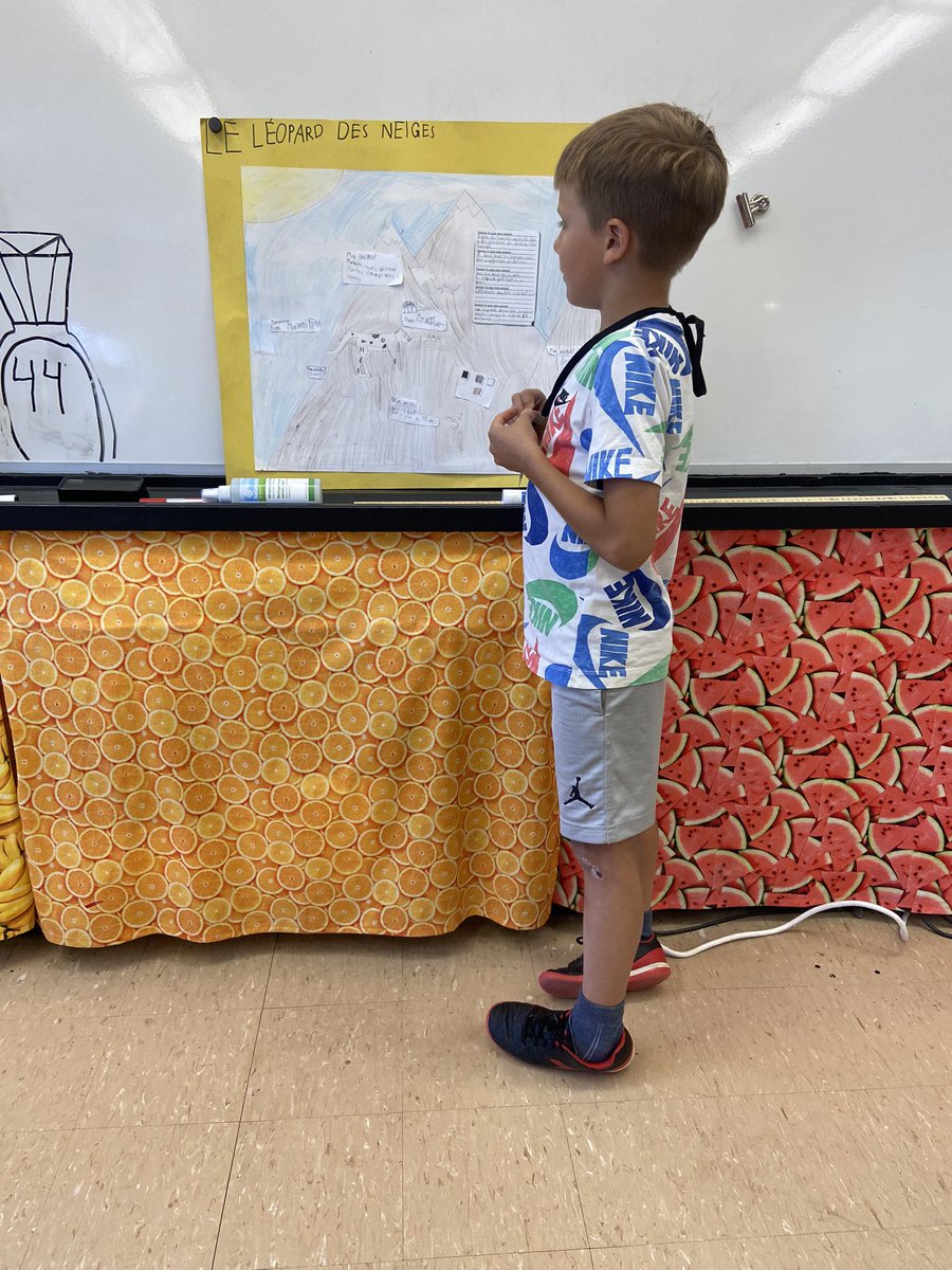MmeMacGougan's tweet photo. Grade 2s are rocking their animal poster presentations! 👏🏼#science #animalunit 🦩🐬🐍🦒🦋🦧 https://t.co/BP4k3Fdl73