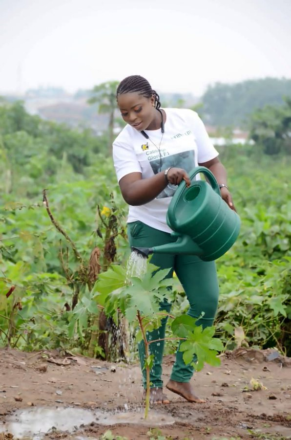 Africanwomeni10's tweet photo. Her name is Ifeoluwa Oyeyemi from Nigeria, She is 30 years old. A proud vegetable farmer, an agro-dealer, and an agricultural advocate.

What is the Africa Ifeoluwa wants?

"The Africa I want as a farmer is one where we produce and not starve."@IfeOluwaOyeyem https://t.co/ctquPCJFvW