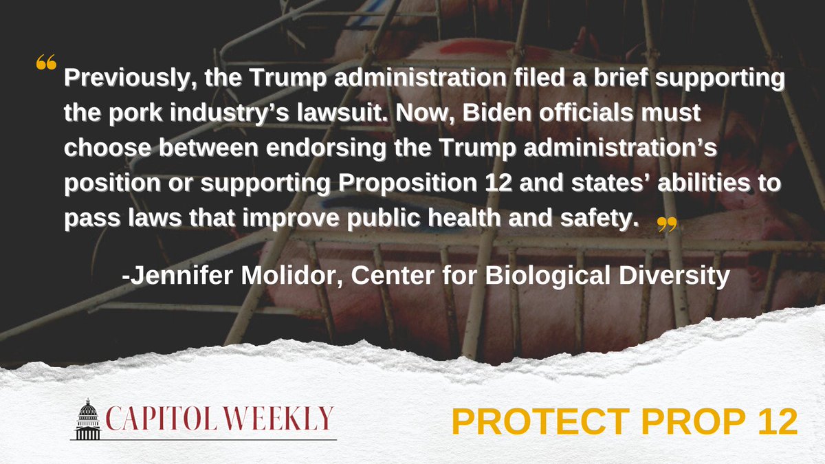ICYMI: New op-ed from @JenniferMolidor <a href="/CenterForBioDiv/">Center for Biological Diversity</a> underscores how #SCOTUS decision  will affect climate, consumers, animals and policy landscape. Read here via <a href="/Capitol_Weekly/">Capitol Weekly</a>:  capitolweekly.net/high-court-rul… 

Please #ProtectProp12 <a href="/POTUS/">President Donald J. Trump</a>!
