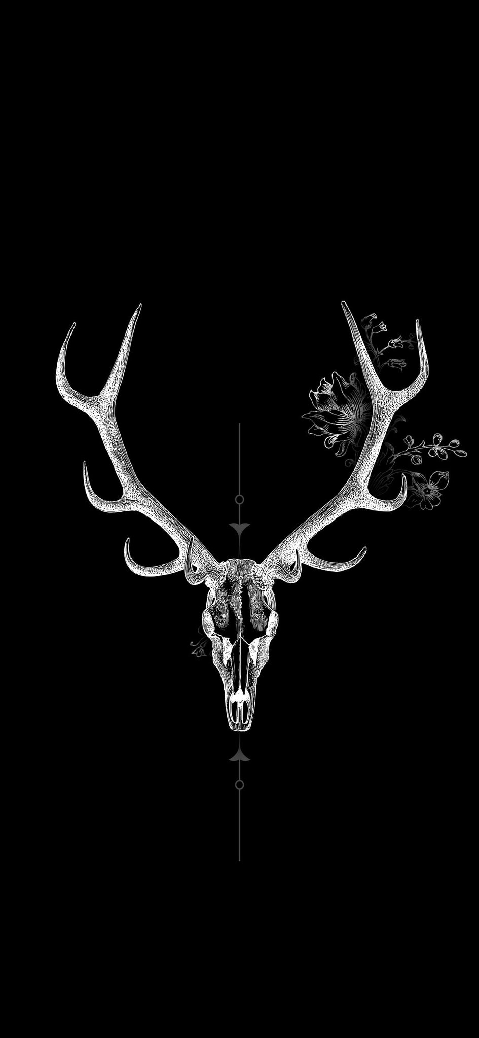 black and white deer wallpaper