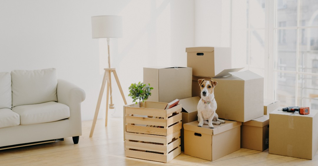 As you start looking at homes, make sure you learn more about the upfront and ongoing costs that go along with homeownership. We can also help you make a plan for how they will fit in with your other expenses: bit.ly/3bSWd3e