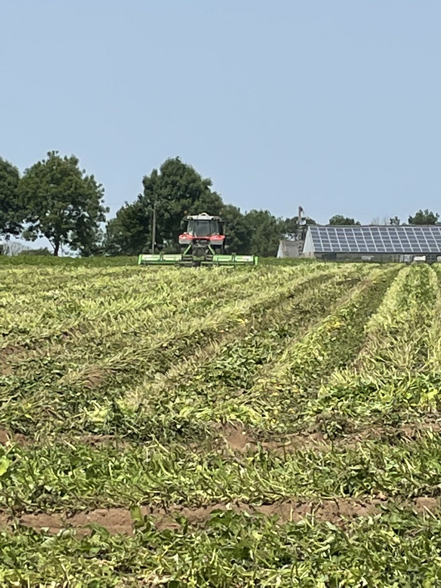 cadiou richard tweet media