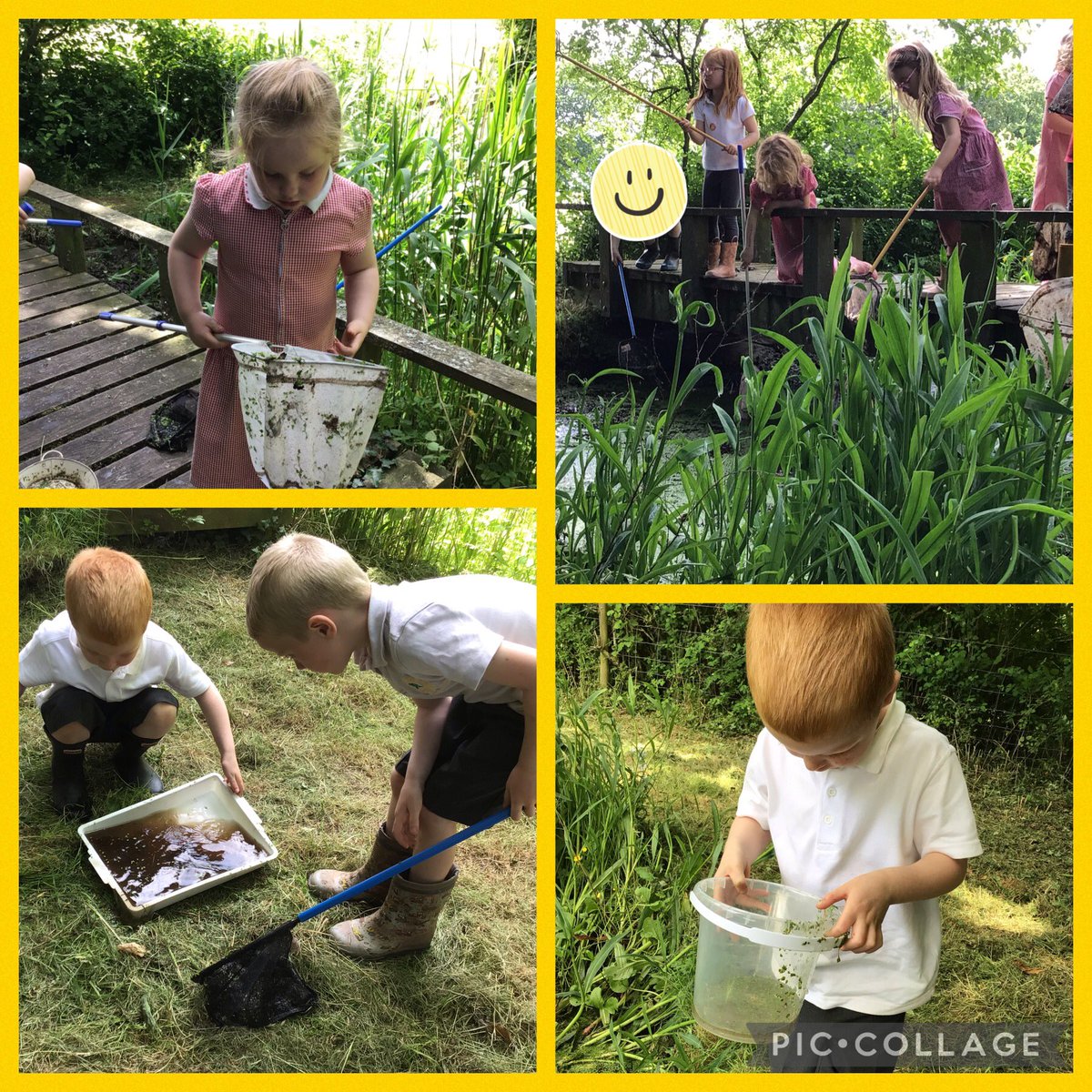 <a href="/CrossAshRec/">Dosbarth Derbyn Cross Ash</a> enjoyed exploring the pond to see what they could find. <a href="/CrossAshSTEM/">Cross Ash STEM</a>
