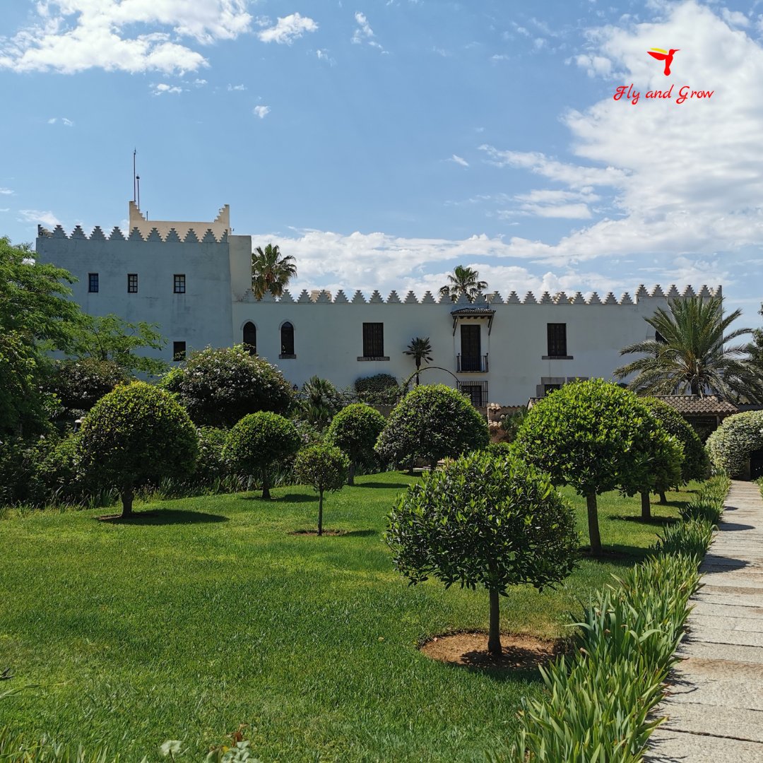FlyandGrow's tweet photo. 🥰 Alcudia nos ha sorprendido y tenemos muchas ganas de volver ya.

@ajtalcudia @somdemallorca #somdemallorca #alcudia https://t.co/FeBflI82Jm