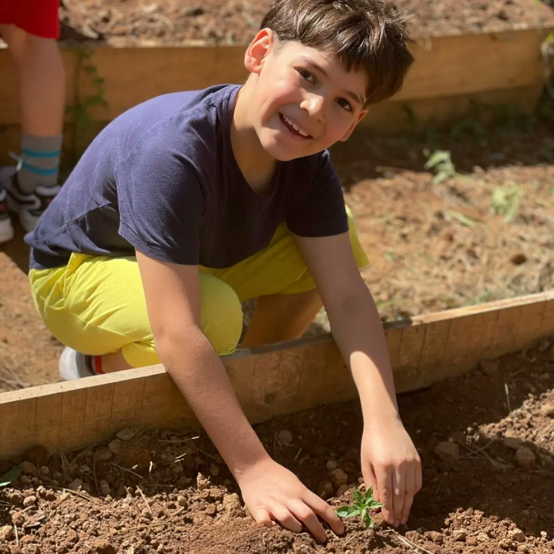 tarhankoleji's tweet image. 4,5,6,7 ve 8.sınıf öğrencilerimiz Park Of İstanbul’da yer alan doğa bilim atölyesinde kazı ve tarım çalışmaları yapmışlar, eğitmenler tarafından bilgilendirilmişlerdir.

#tarhankoleji #tarhandabugün #eğitimlegeçen63yıl #stem #atölye