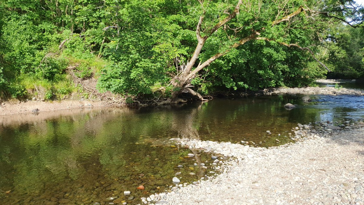 Mat7392's tweet image. Building a bridge whilst listening to weird shit on twitter. I must be old...