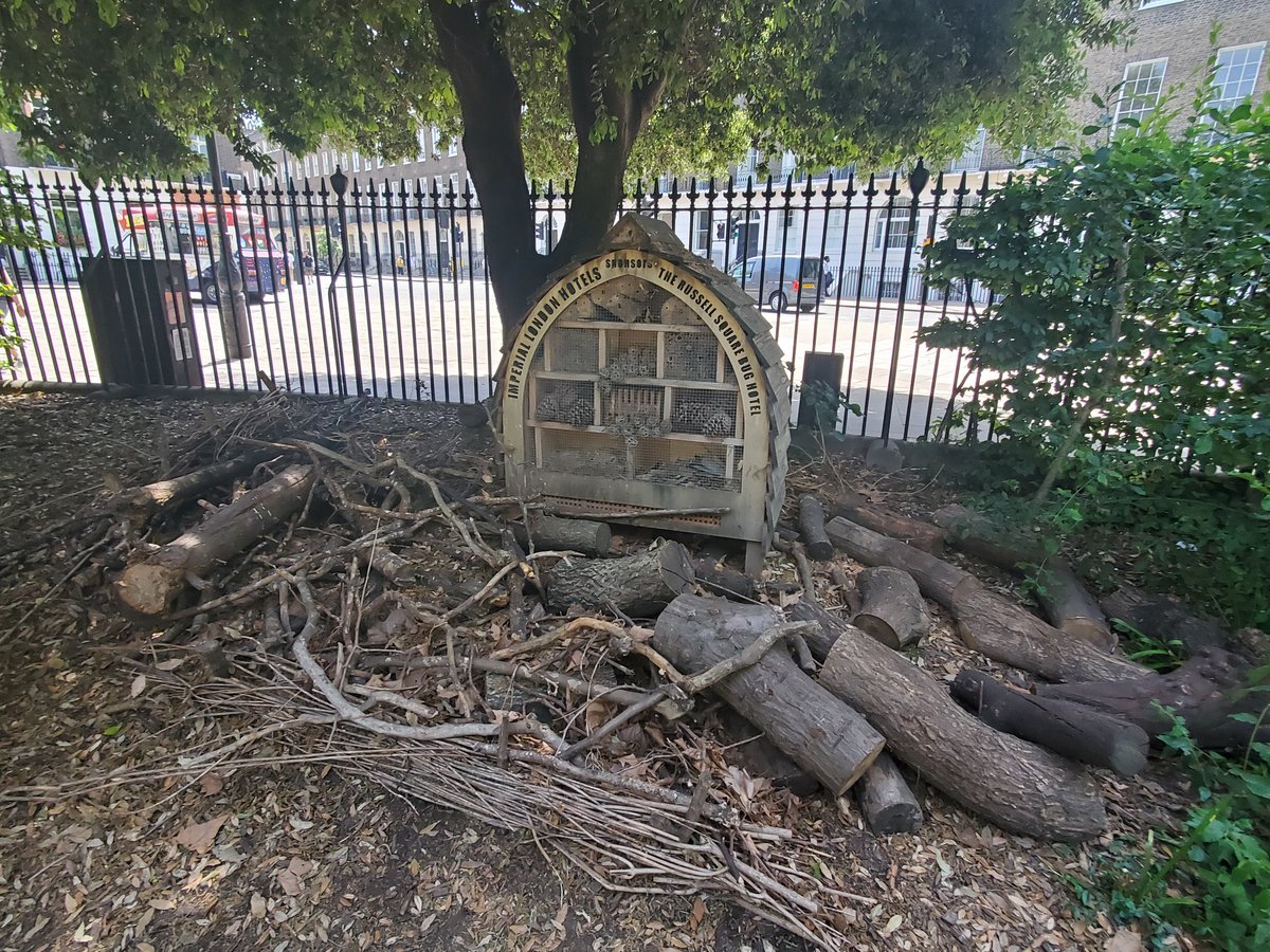 A very cool insect hotel in #RussellSquare. #ScienceIsLife #London