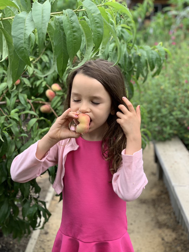 That first bite of a peach freshly picked off the tree. #summer #stonefruitseason