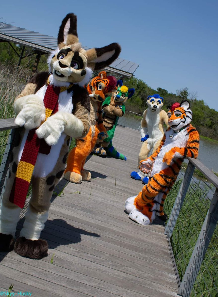 You came to the wrong watering hole. ;) #FursuitFriday @Rabidrabbit56 , @ciderthesnep , @TigertheMeerkat , @gator_coyote 📸: @Skyy_Husky