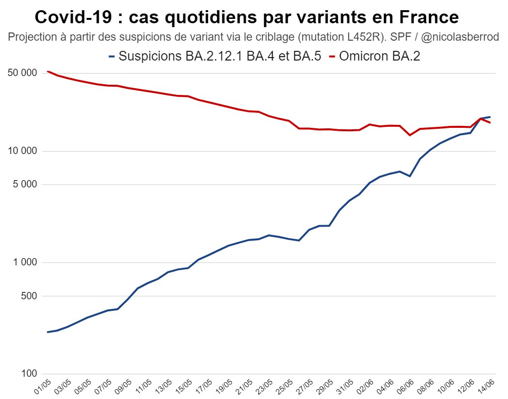 FVeKaDRXsAMVcnp?format=jpg