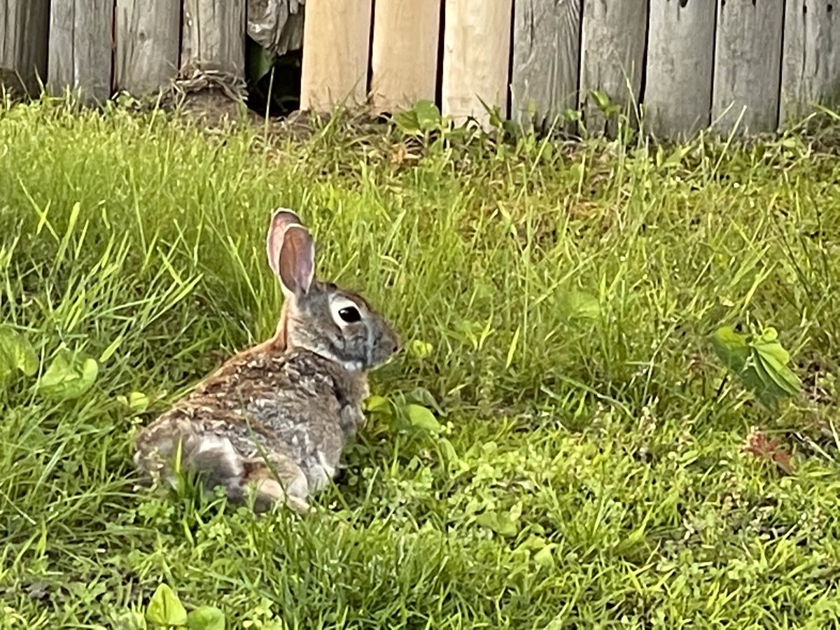Beth Lambert tweet media