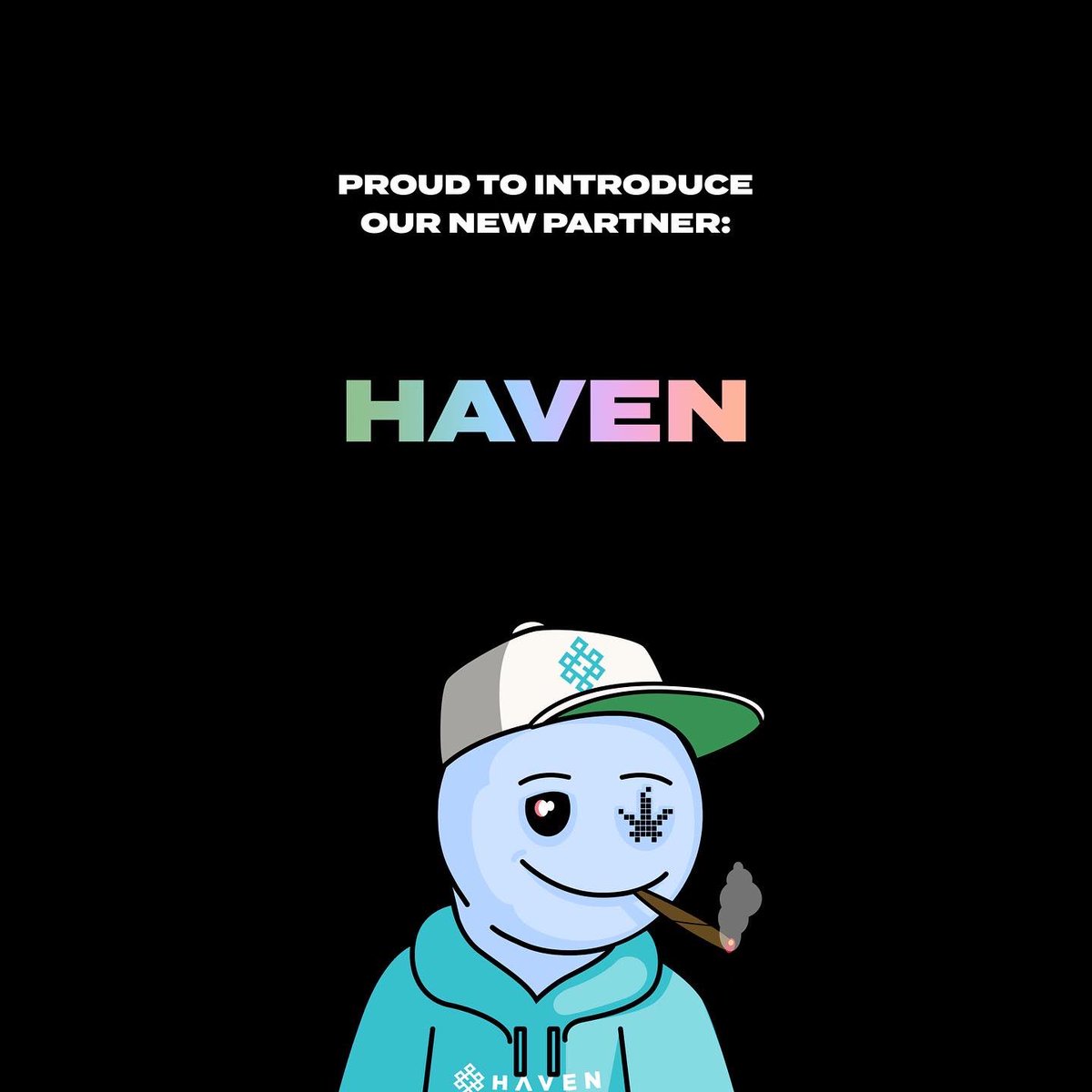 There are always new ways to immerse yourself in the high life. That's why we're hyped to introduce our partner: myhavenstores.com

Featuring their custom BUDS #pfp.

Join us for exclusive experiences that pair perfectly with your BUDS lifestyle.