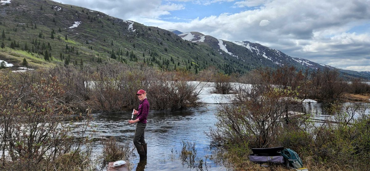 Wolf Creek Research Basin (@wolfcreekyt) on Twitter photo Crews are on the ground and field season is in full swing in Wolf Creek! Access to the basin is still challenging due to snow, but that didn't stop @ali_fristensky from starting her sample collection at the outlet of Coal Lake  (Photo from June 5th - Spring is here!) Crews are on the ground and field season is in full swing in Wolf Creek! Access to the basin is still challenging due to snow, but that didn't stop @ali_fristensky from starting her sample collection at the outlet of Coal Lake  (Photo from June 5th - Spring is here!)