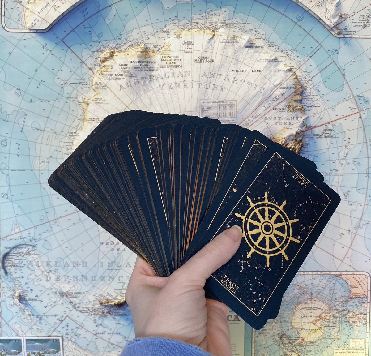 my <a href="/terrortarot/">terrortarot</a> has arrived and the packaging, the design of the cards, and all of the individual art pieces are gorgeous beyond my wildest dreams - HUGE thank you to everyone involved, i know this was an immense labor of love 💙💙💙