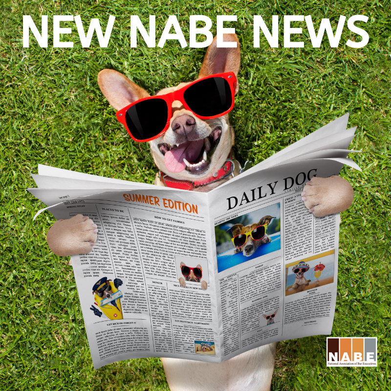NABE_News's tweet photo. ICYMI: There's a new issue of NABE News! This issue features the last President's Letter from @emillerprogress, articles to share with your members, a stealable idea and more! Check it out here:
https://t.co/311llJnTCv
#BarAssociations #BarPros #naBEmore https://t.co/R36hx8VpTo