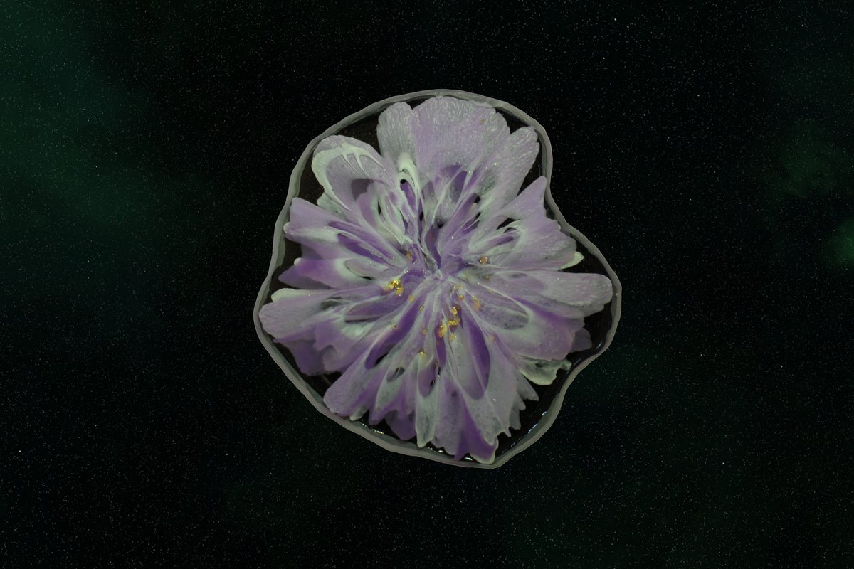 5th of 6 Interstellar Light Pocket Wormhole

It is ready to drive you to another Galaxy. What is behind it? Who knows... No one has returned yet.

0.18$ at <a href="/opensea/">OpenSea</a>:
opensea.io/assets/ethereu…

#nft #OpenSeaNFT #nftartist #abstractart #space