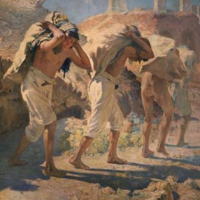 DAY 5 #MUSEUMWEEK#ambienteMW#environmentMW#gampalermo #palermo #sicily #museum #laculturanonsiferma #civitasocial  #VenerdìPerilFuturo #Terra #riscaldamentoGlobale #cambiamentoClimatico #VenerdìPerilClima  #MuseiNonNeutrali #esplorazioneDelloSpazio #museiPerilClima #noplanetB