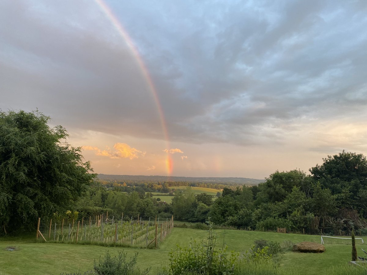 mclennan_stuart's tweet photo. @KateBushMusic We live near Crockham Hill. I tell my children that the view from our garden was similar to the one @KateBushMusic had when she wrote RUTH. Local legend? https://t.co/C9fIVBxE9X