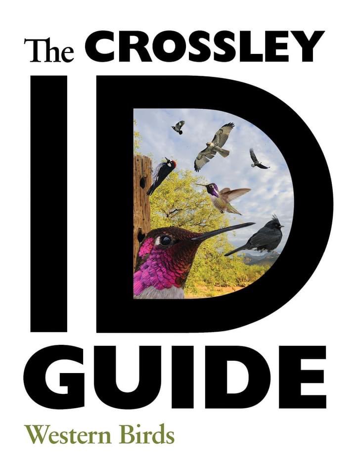CrossleyIDGuide's tweet image. Western Birds, Waterfowl and Ornitherapy are now available on Amazon in Canada and Mexico. Sorry Europe - perhaps one day!