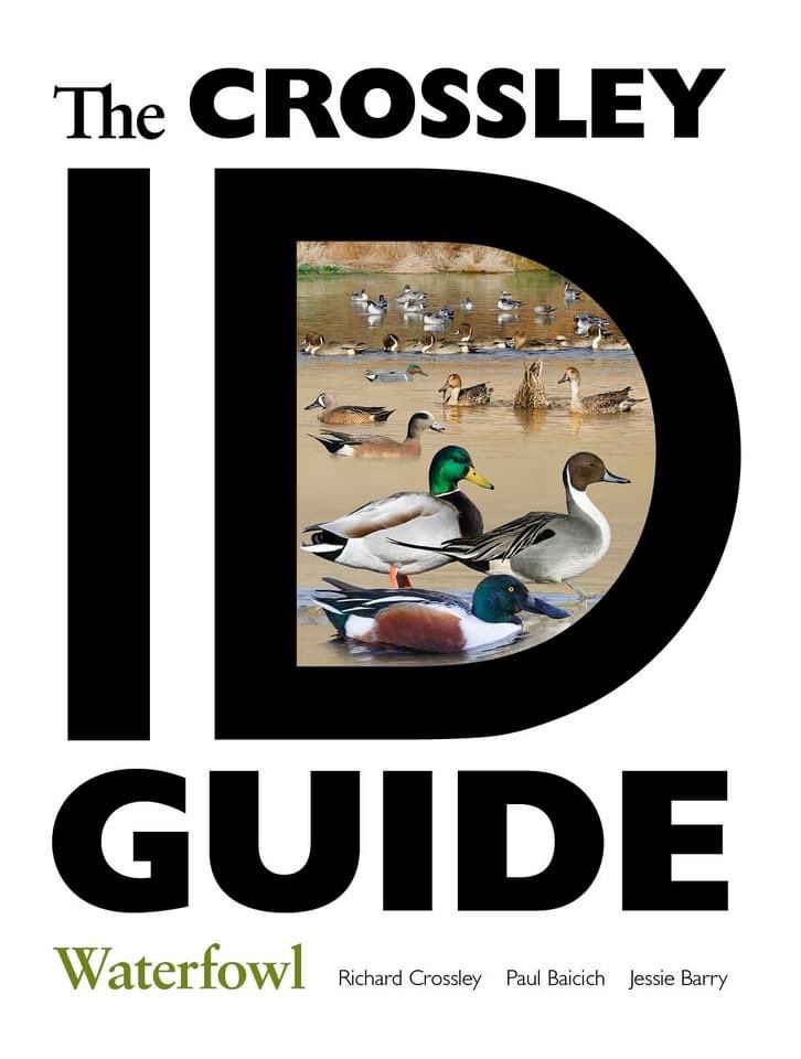 CrossleyIDGuide's tweet image. Western Birds, Waterfowl and Ornitherapy are now available on Amazon in Canada and Mexico. Sorry Europe - perhaps one day!