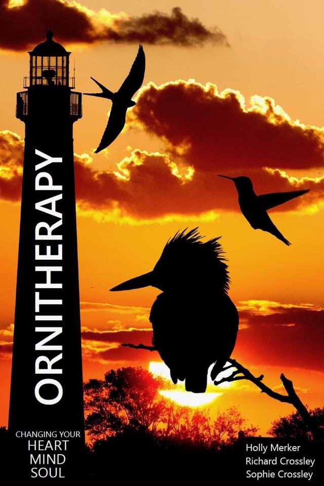 CrossleyIDGuide's tweet image. Western Birds, Waterfowl and Ornitherapy are now available on Amazon in Canada and Mexico. Sorry Europe - perhaps one day!