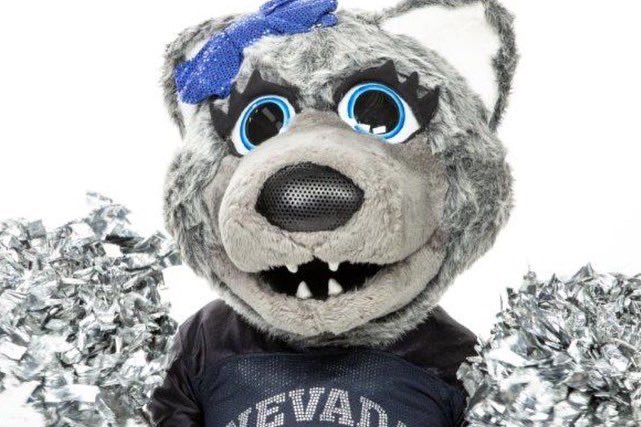 Nevada Cheerleading tweet media