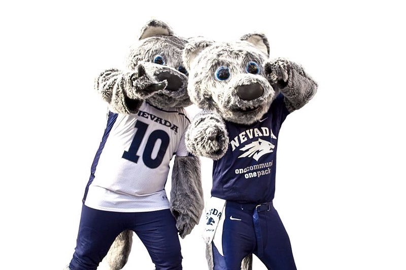 Nevada Cheerleading tweet media