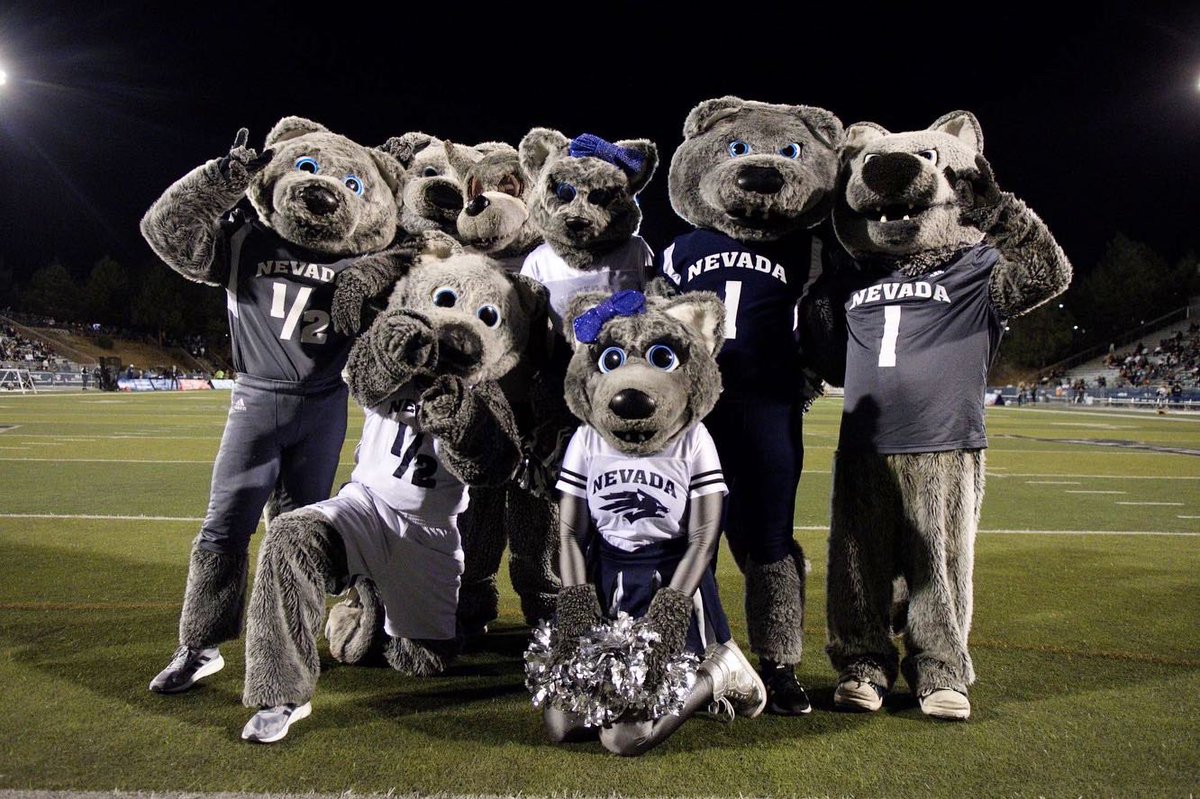 Nevada Cheerleading tweet media