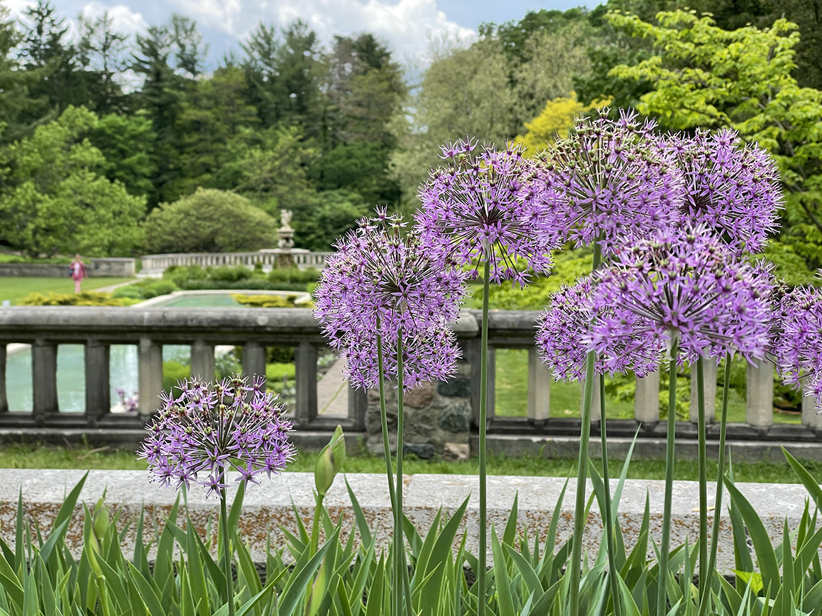 CranbrookHouse's tweet photo. Enjoy free admission to Cranbrook Gardens this weekend (and from 7:00am to 7:00pm daily throughout the summer) courtesy of presenting sponsor @PNCBank and the support of @fleurdetroit. Guided tours and special events require paid admission. https://t.co/pyAgECWXgx