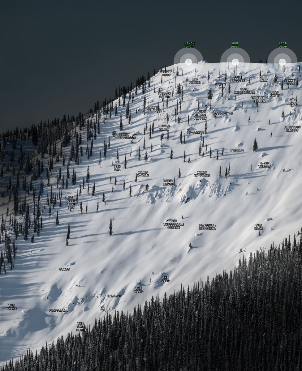 DROPPING! For The Selector NFT holders, GIFTED: The 22' Scary Cherry Venue NFT, a series course previews used to prep NST riders for comp at Baldface, these course previews helped riders choose lines. Thanks to our #NFT community, we will continue to surprise you.