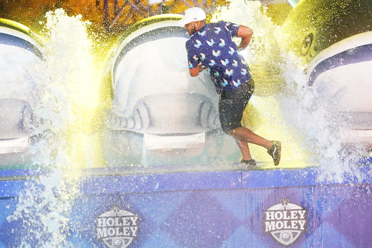 Holey Moley tweet media