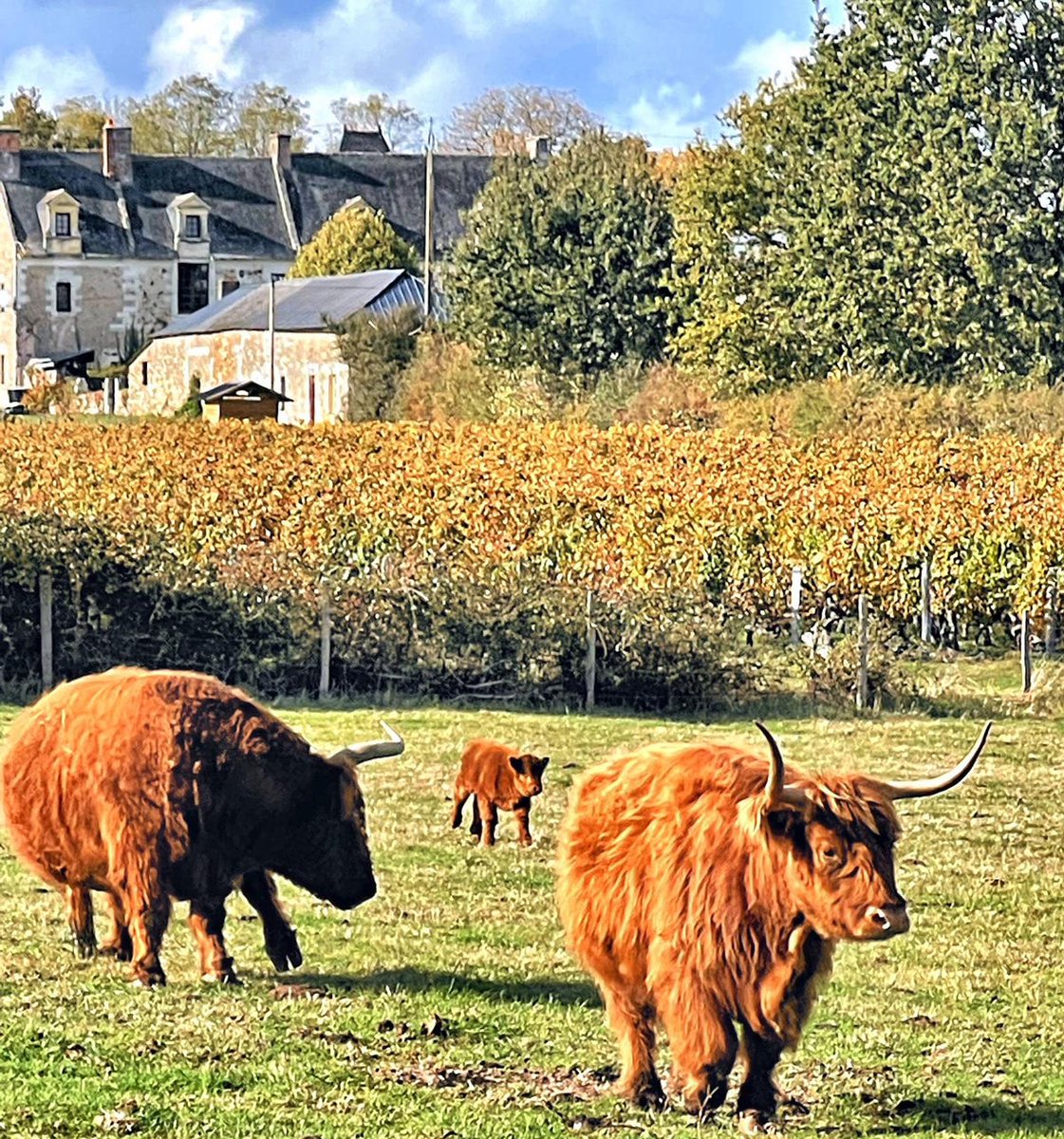 A look into how wineries can aid in the combat of climate change with Greg Jones
"If the biodiversity increases, then the resiliency to any kind of perturbation within the climate system is going to be stronger" ow.ly/GI3650JAnmB
#climatechange #wineries #vineyard #abacela