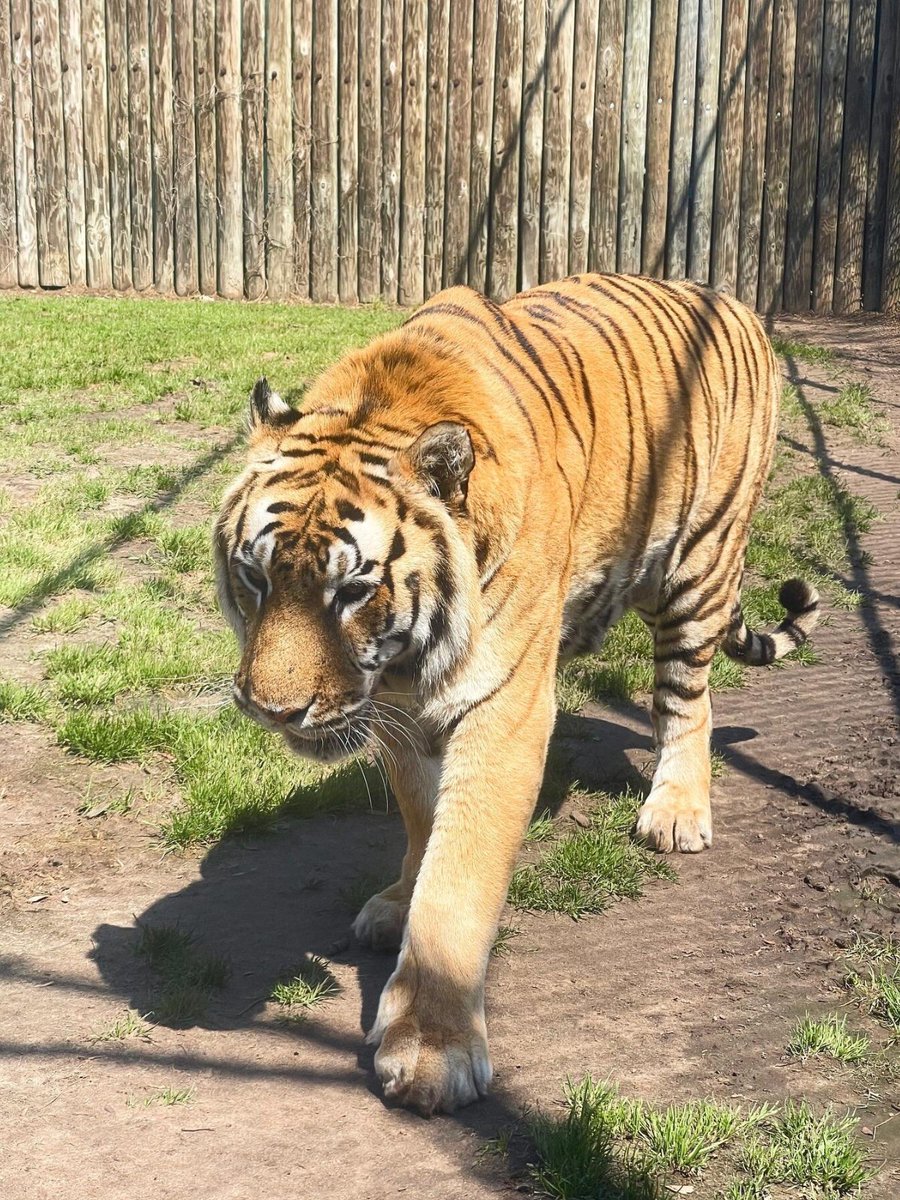 Wild_Adventures's tweet photo. You know what time it is. ๐ #FanFriday is your opportunity to show us your adventures! Tag us in your photos or use #YesWAShare in your post to potentially be featured on our page!
๐ธ: Mrs.Brandyj (IG)
๐ธ: StaceyTLee
๐ธ: Zoey Moore https://t.co/VeBs2LYexn